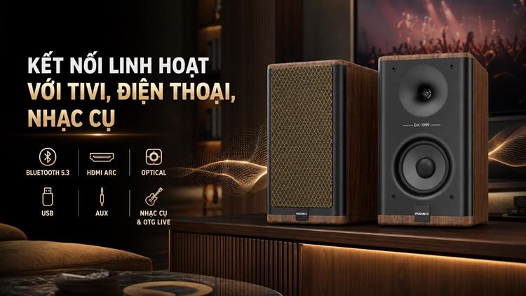 Cặp loa karaoke Paramax Homi 6 Smart 150W Màu Nâu đậm
