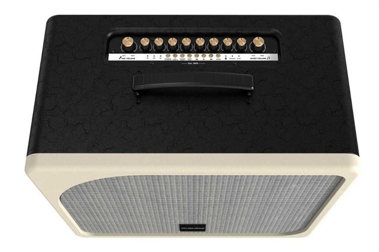 Loa karaoke xách tay Paramax Evox 300W Màu Đen