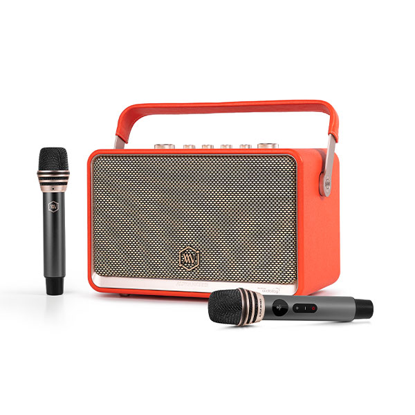 Loa Bluetooth Alpha Works AW-W99
