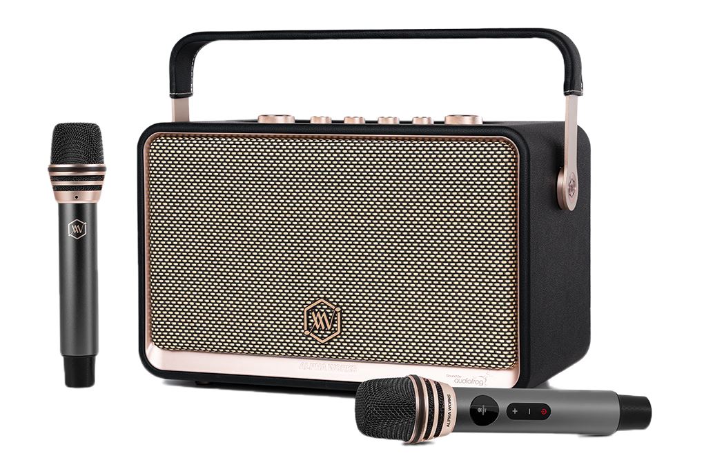 Loa Bluetooth Alpha Works AW-W99 Màu Đen