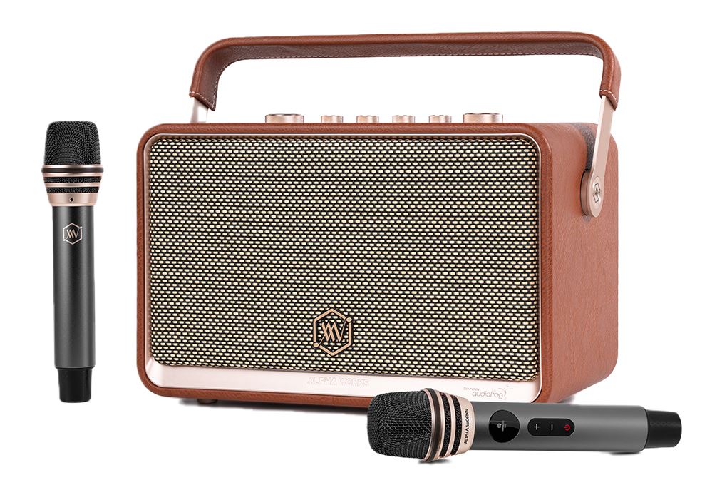 Loa Bluetooth Alpha Works AW-W99 Màu Nâu