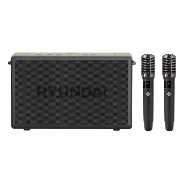 Loa Bluetooth karaoke Hyundai HD0502