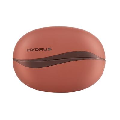 Máy sưởi mini cầm tay Hydrus Y36