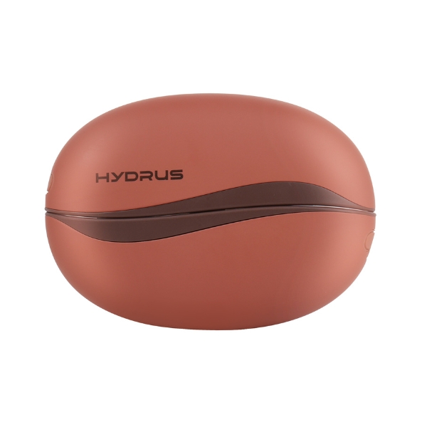 Máy sưởi mini cầm tay Hydrus Y36