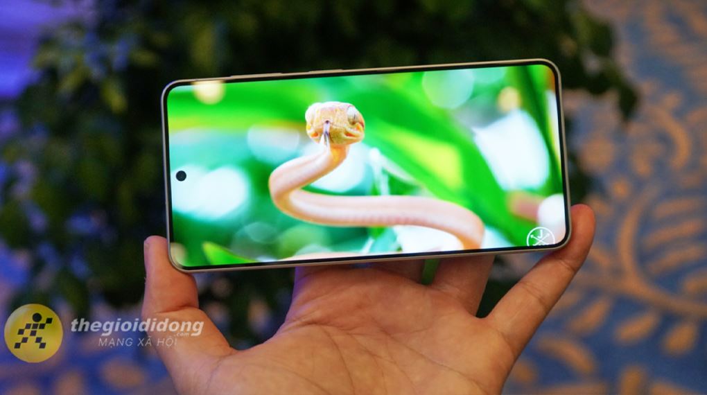 Samsung Galaxy S26 Plus 512GB tích hợp công nghệ 10-bit mDNIe giúp tái tạo màu sắc chính xác, chân thực cho mọi khung hình giải trí Samsung Galaxy S26 Plus 512GB tích hợp công nghệ 10-bit mDNIe giúp tái tạo màu sắc chính xác, chân thực cho mọi khung hình giải trí