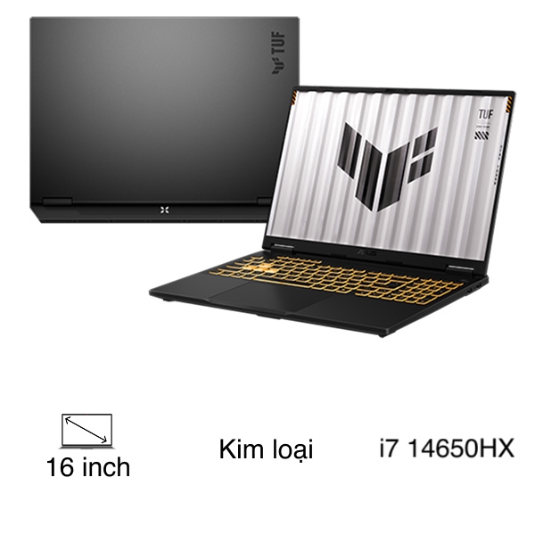 Asus TUF Gaming FX608JPR i7 14650HX (RV044W)