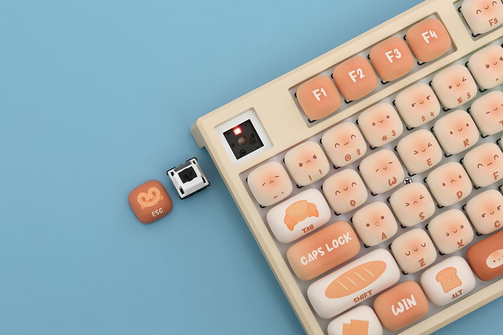 Bàn Phím Cơ Bluetooth Akko MonsGeek MG108B Bun Wonderland - 11