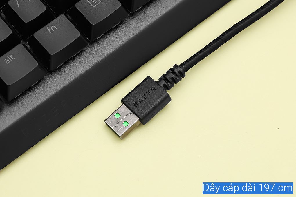Bàn Phím Cơ Có Dây Gaming Razer BlackWidow V4 X Green Switch Màu Đen