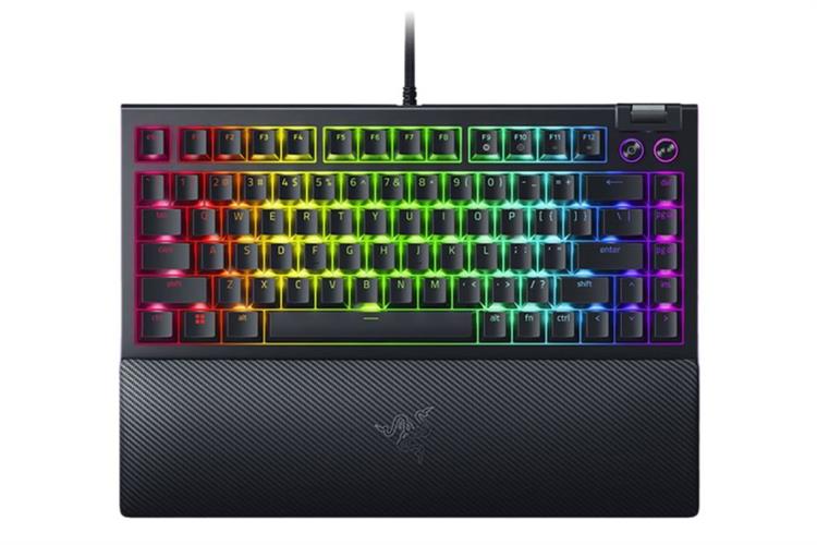 Bàn Phím Cơ Có Dây Gaming Razer BlackWidow V4 75%