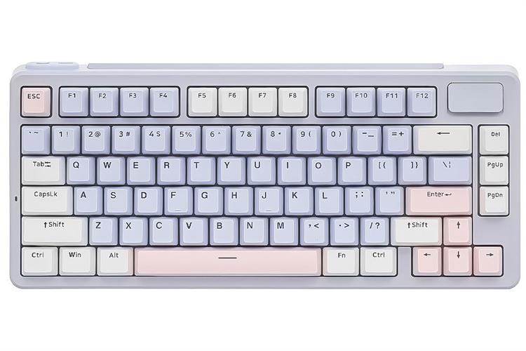 Bàn Phím Cơ Bluetooth Rapoo V700DIY 75 Màu Màu kết hợp