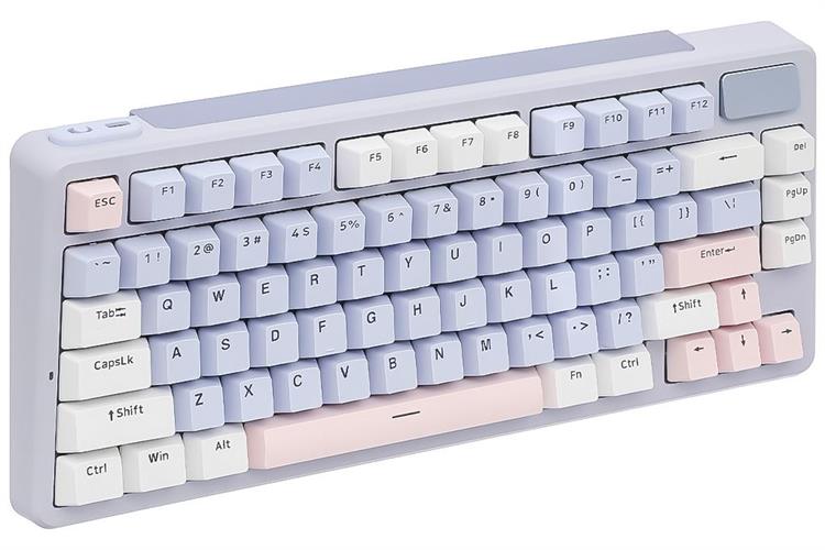 Bàn Phím Cơ Bluetooth Rapoo V700DIY 75 Màu Màu kết hợp