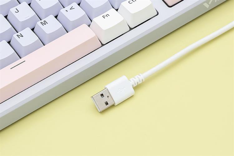 Bàn Phím Cơ Bluetooth Rapoo V700DIY 75 Màu Màu kết hợp