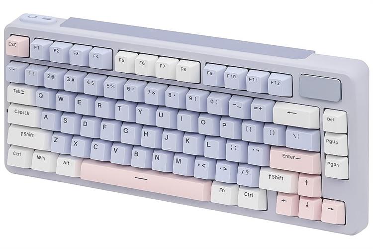 Bàn Phím Cơ Bluetooth Rapoo V700DIY 75 Màu Màu kết hợp