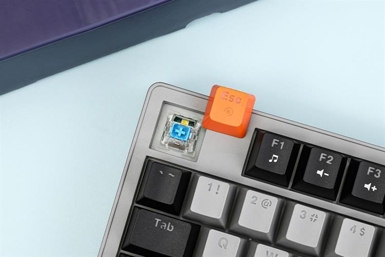 Bàn Phím Cơ Có Dây Rapoo V501 87 Màu Đen