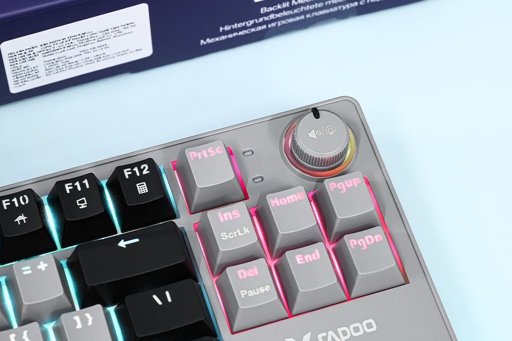 Bàn Phím Cơ Có Dây Rapoo V501 87 Màu Đen
