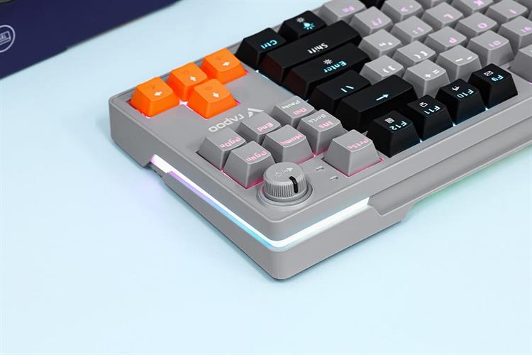 Bàn Phím Cơ Có Dây Rapoo V501 87 Màu Đen