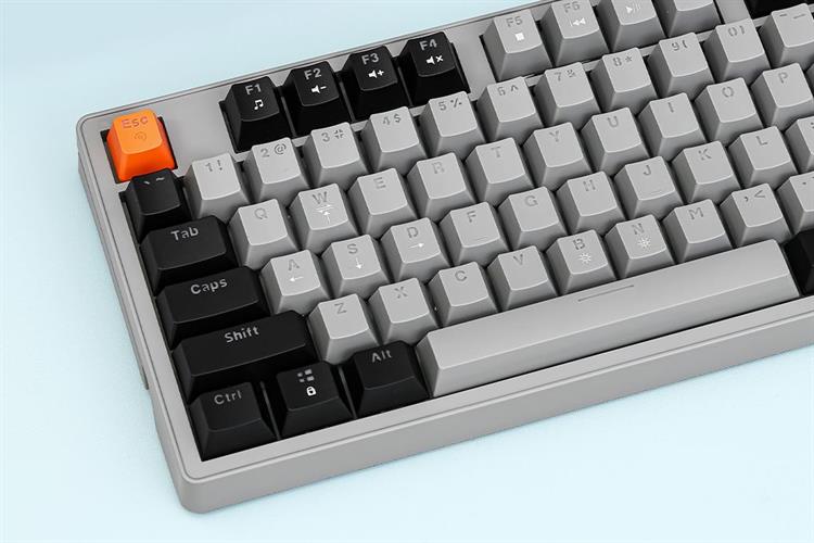 Bàn Phím Cơ Có Dây Rapoo V501 87 Màu Đen