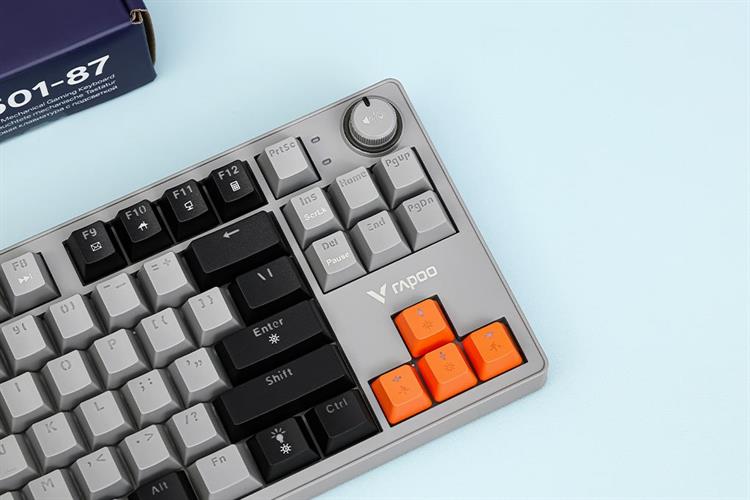 Bàn Phím Cơ Có Dây Rapoo V501 87 Màu Đen