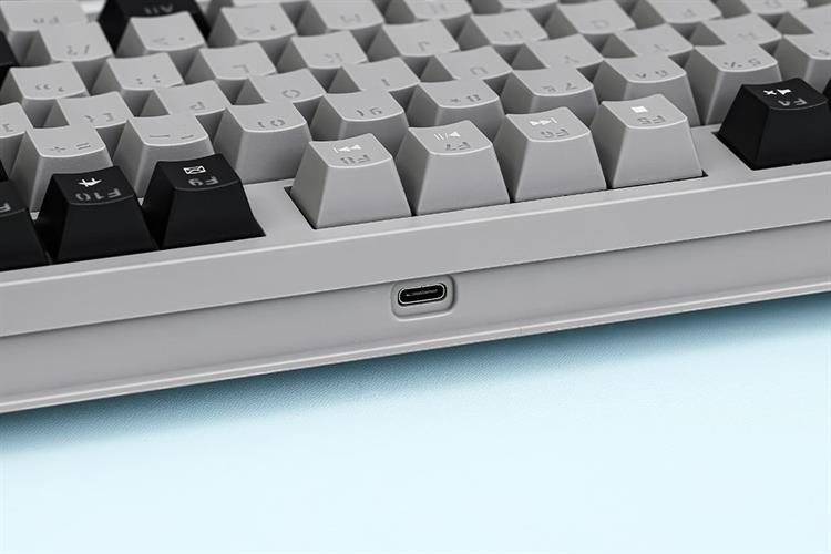 Bàn Phím Cơ Có Dây Rapoo V501 87 Màu Đen