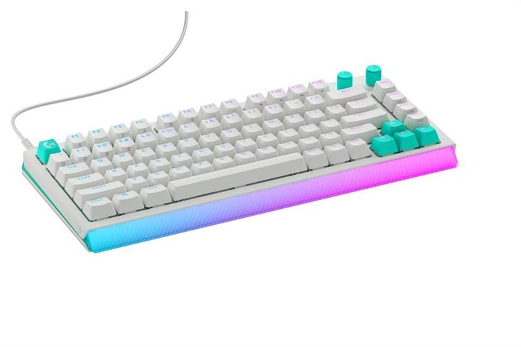 Bàn Phím Cơ Có Dây Logitech G512 X 75 TKL Màu Trắng