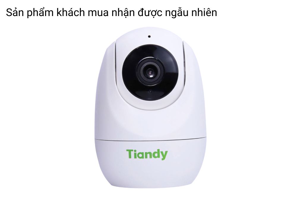 Camera IP 360 Độ TIANDY TC-H322N Màu Trắng
