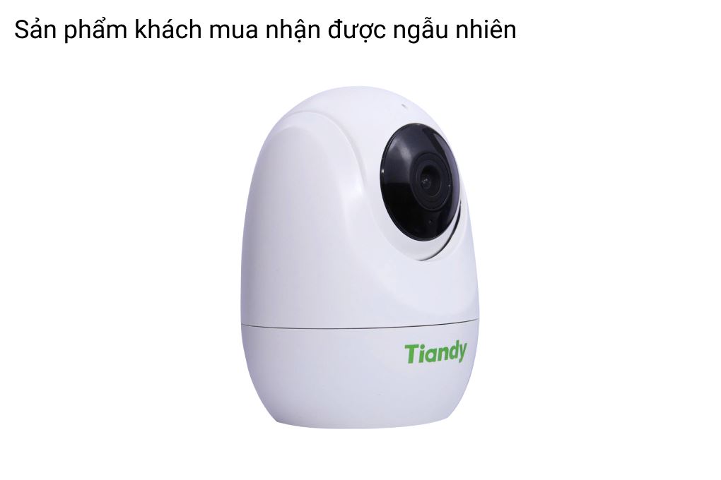 Camera IP 360 Độ TIANDY TC-H322N Màu Trắng