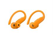 Tai nghe Bluetooth True Wireless Beats Powerbeats Pro 2