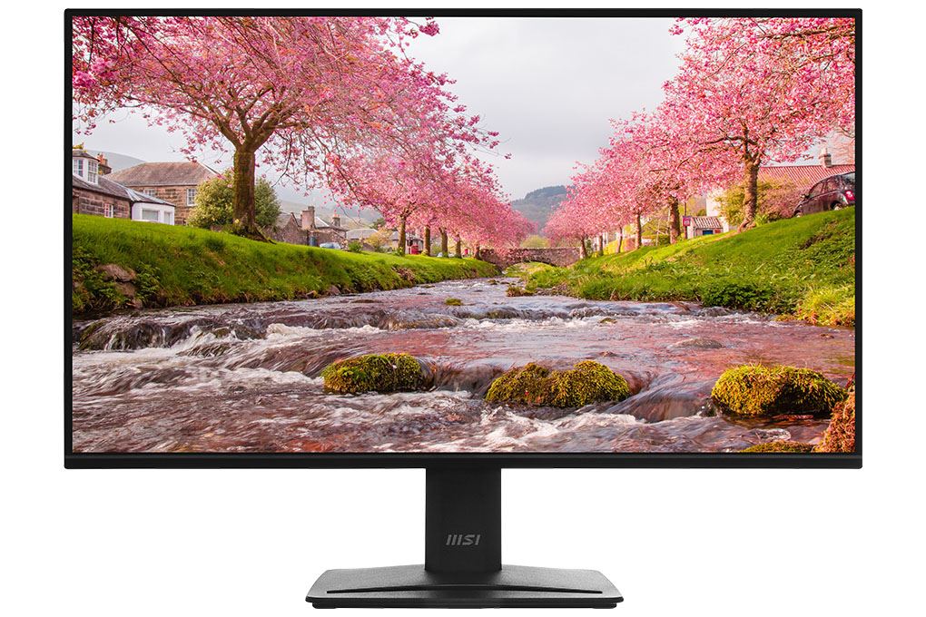 Màn hình MSI PRO MP251 E2 24.5 inch FHD/IPS/120Hz/1ms Màu Đen