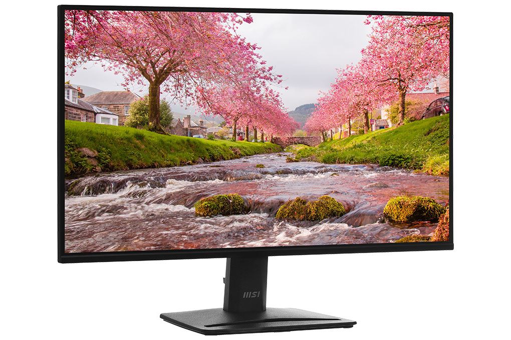 Màn hình MSI PRO MP251 E2 24.5 inch FHD/IPS/120Hz/1ms Màu Đen