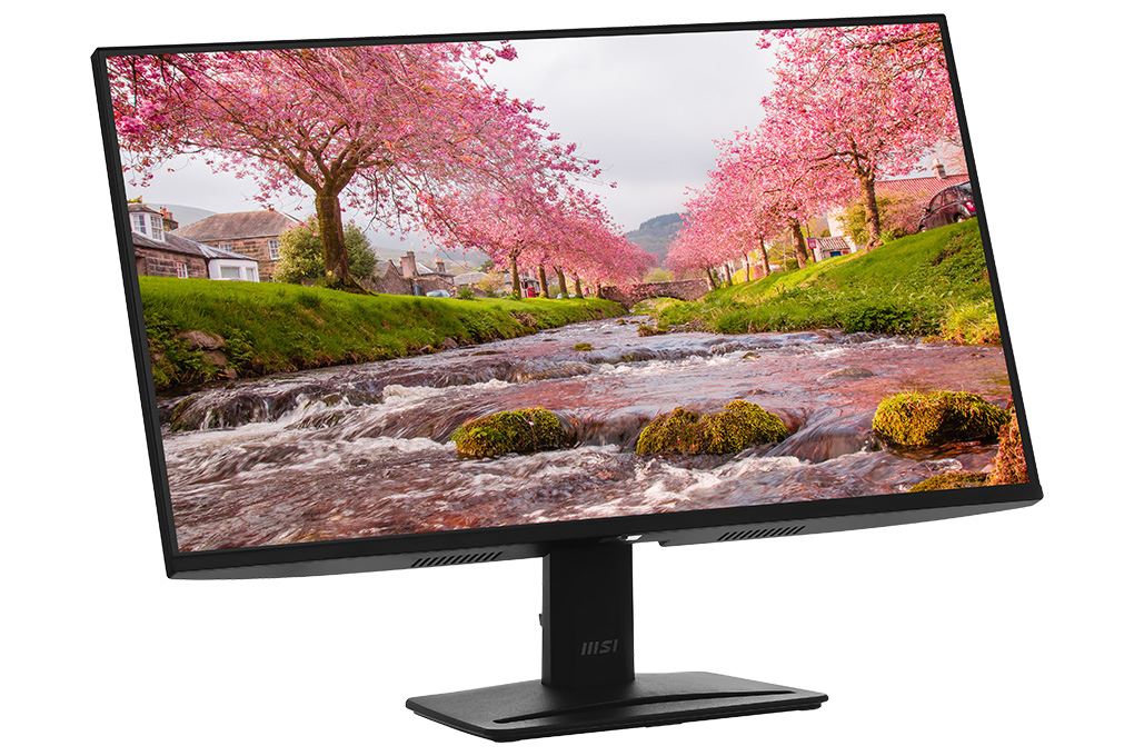 Màn hình MSI PRO MP251 E2 24.5 inch FHD/IPS/120Hz/1ms Màu Đen
