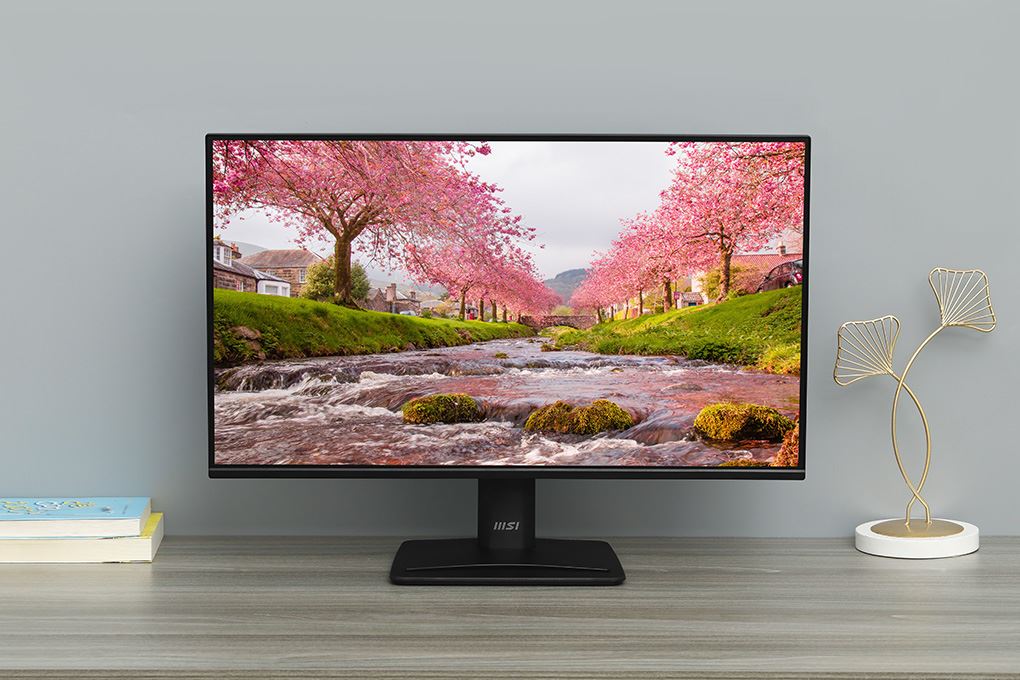 Màn hình MSI PRO MP251 E2 24.5 inch FHD/IPS/120Hz/1ms Màu Đen