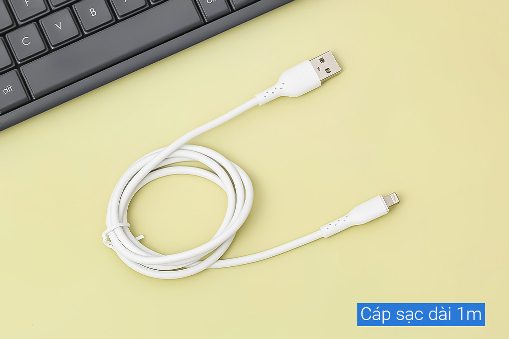 Cáp sạc USB-A - Lightning 12W 1m Hydrus LTPP-10 - 4