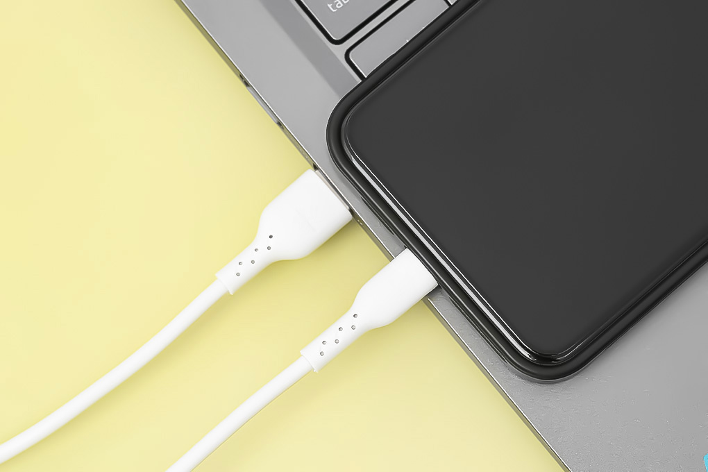 Cáp sạc USB-A - Lightning 12W 1m Hydrus LTPP-10 - 8