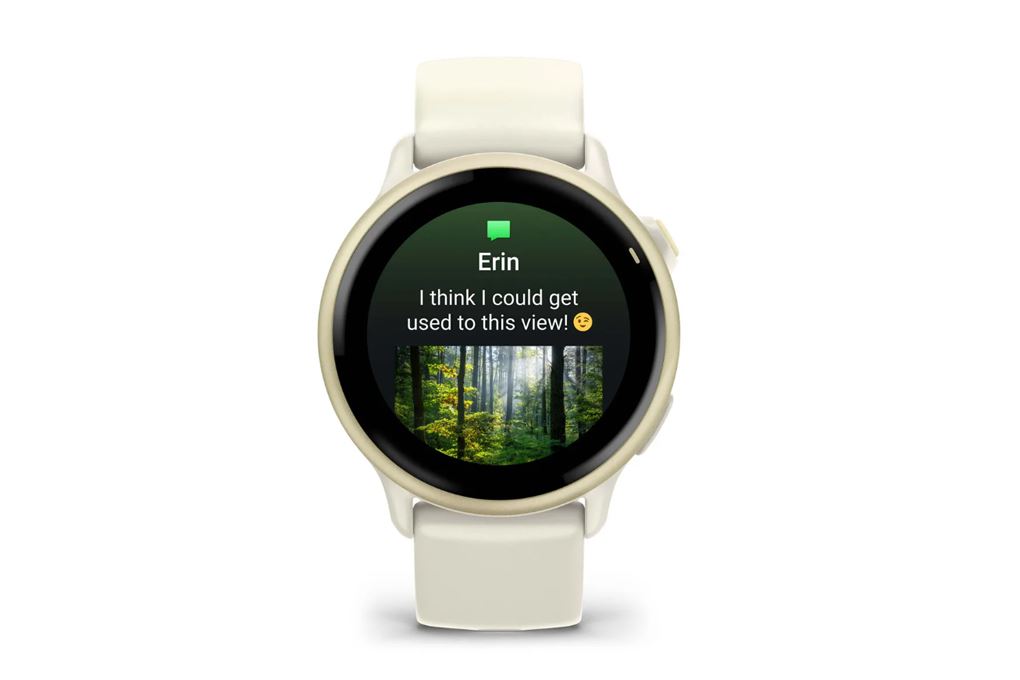 Garmin Vivoactive 6 42.2mm dây silicone - 2
