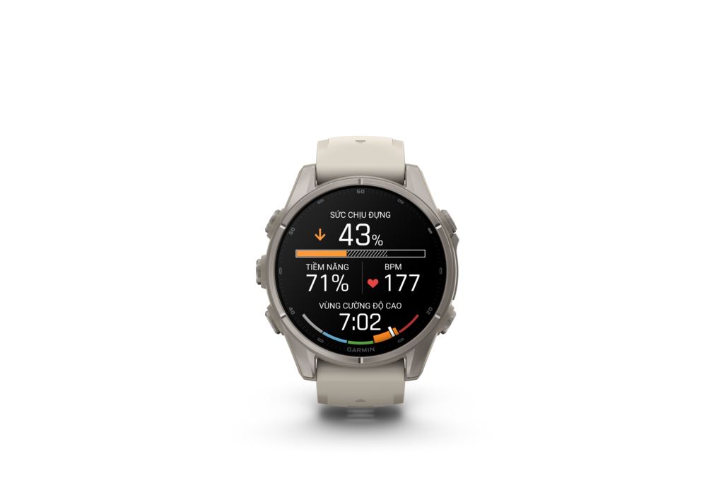 Garmin Fenix 9 Sapphire 43mm viền Titanium dây silicone Màu Xám