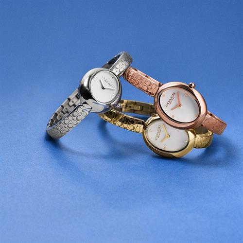 Đồng hồ Coach Sammy 23 mm Nữ 14504483 Màu Bạc