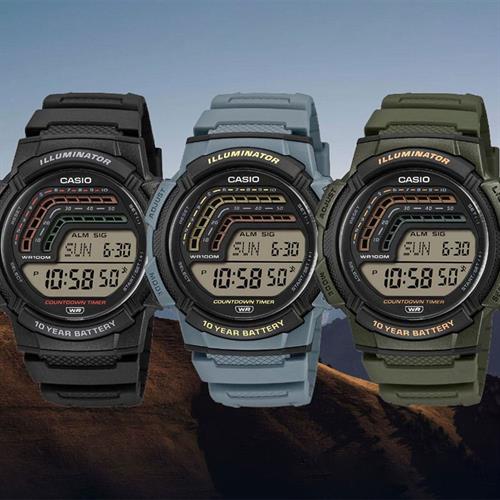 Đồng hồ Casio 45 mm Nam WS-1800-2AVDF Màu Xanh