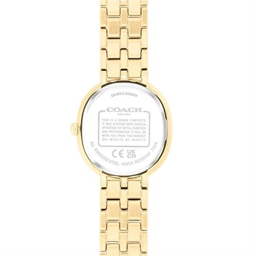 Đồng hồ Coach 24 mm Nữ 14504660 Màu Vàng