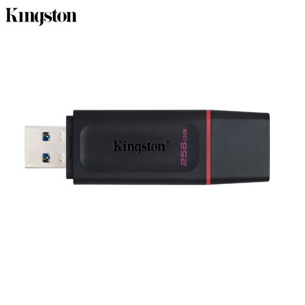 USB 3.2 256GB Kingston DataTraveler Exodia DTX