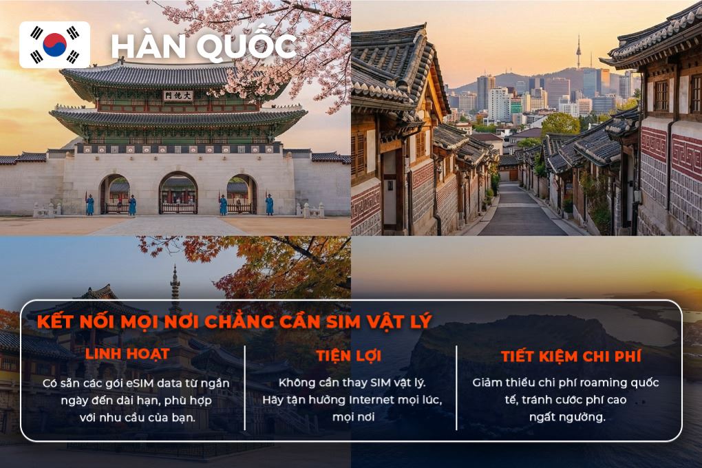 eSIM du lịch Bluecom South Korea 3GB/5 Ngày