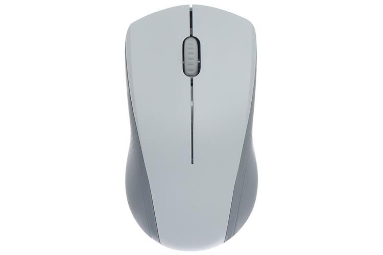 Chuột Có dây Silent Rapoo N1200 Màu Trắng - Xám