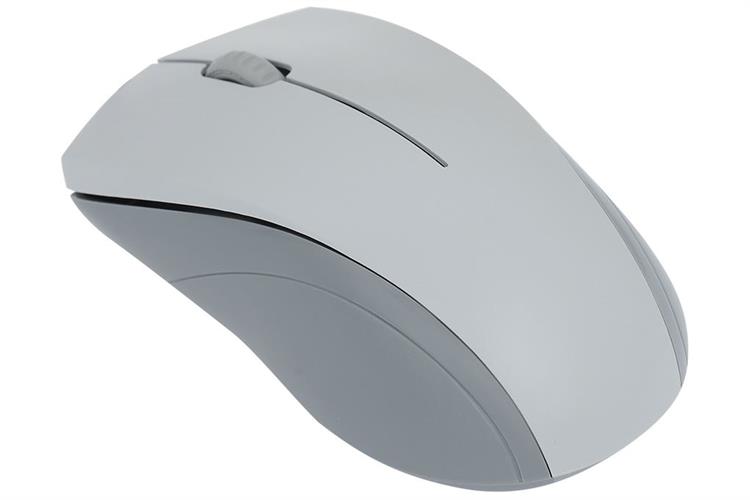 Chuột Có dây Silent Rapoo N1200 Màu Trắng - Xám