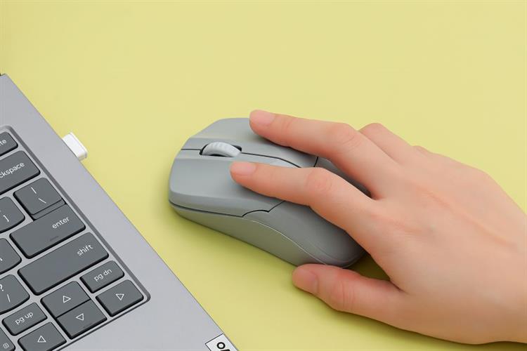 Chuột Không Dây Silent Rapoo B1S Màu Xám