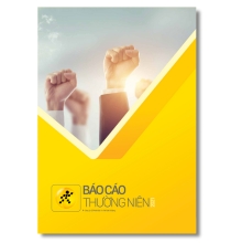 Báo cáo phát triển
                  bền vững năm 2022