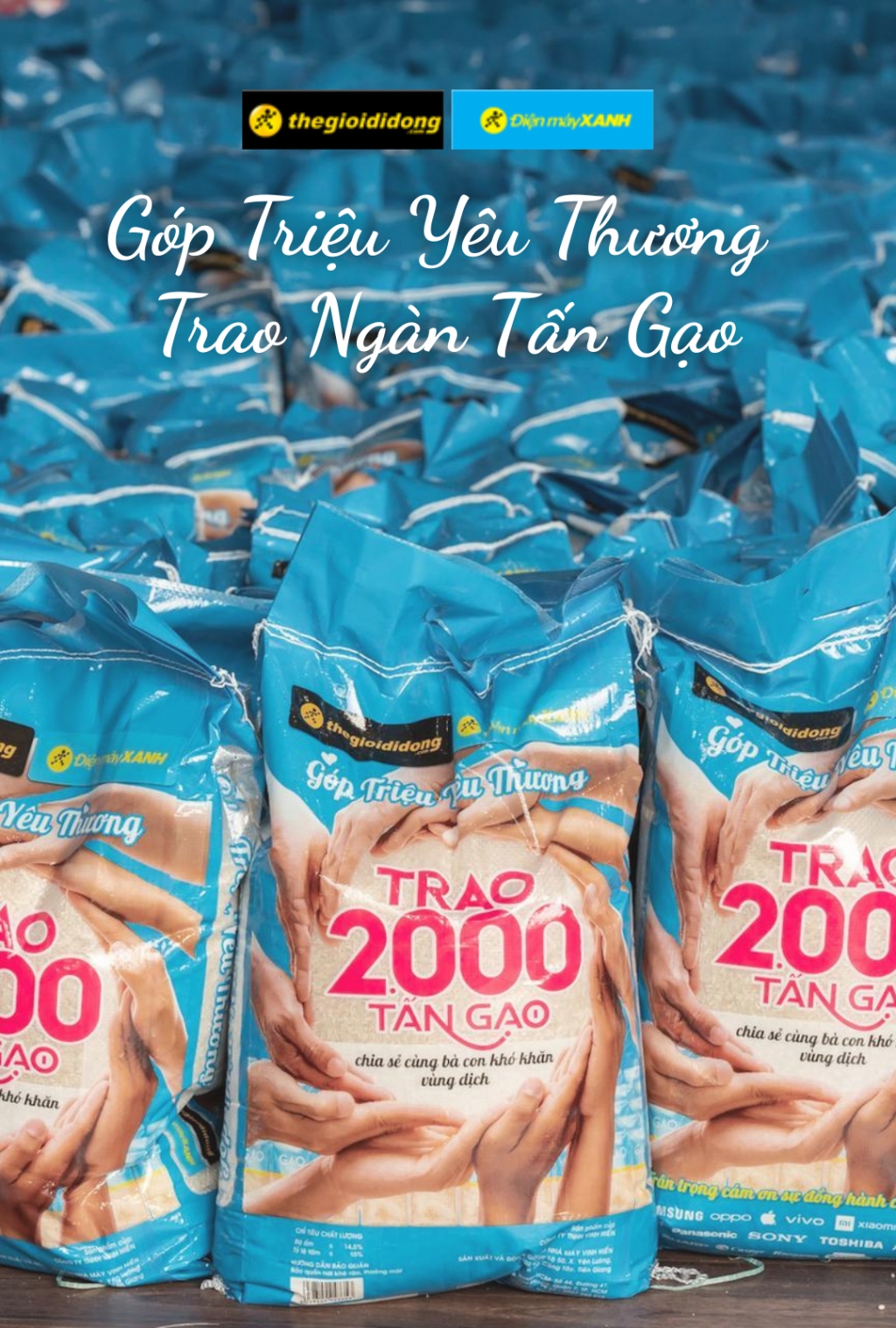 Ngày hội trồng cây MWG 2025