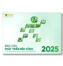 Báo cáo phát triển
                  bền vững năm 2022