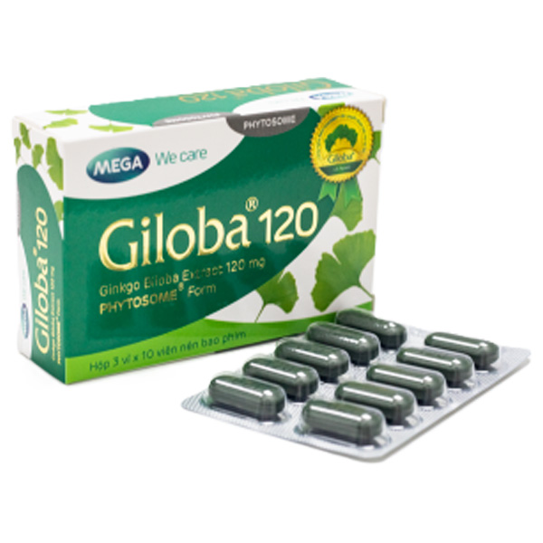 Giloba 120 hỗ trợ tăng cường tuần hoàn não