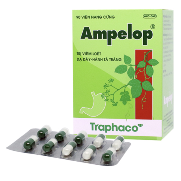 Ampelop 625mg điều trị viêm loét dạ dày - hành tá tráng