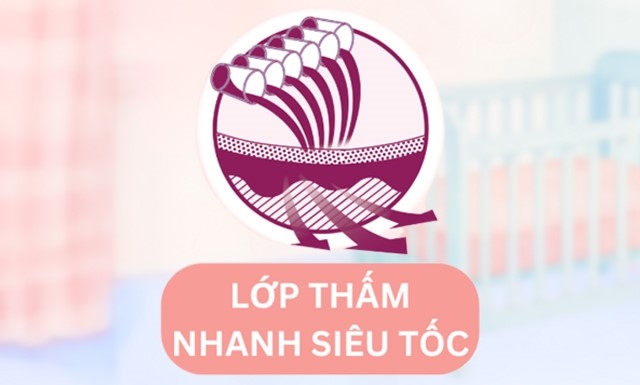 Miếng lót Bobby size NB2 - Thấm hút