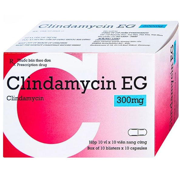 Clindamycin EG 300mg trị nhiễm khuẩn vi khuẩn kỵ khí nhạy cảm